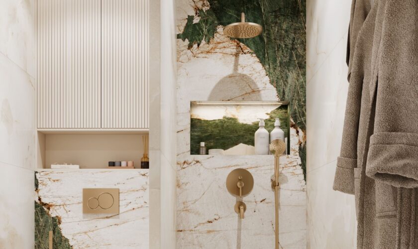 Алиа - Москва (изображение 20)